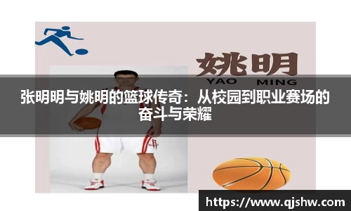 张明明与姚明的篮球传奇：从校园到职业赛场的奋斗与荣耀