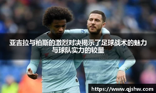 星空综合·(中国)官方网站